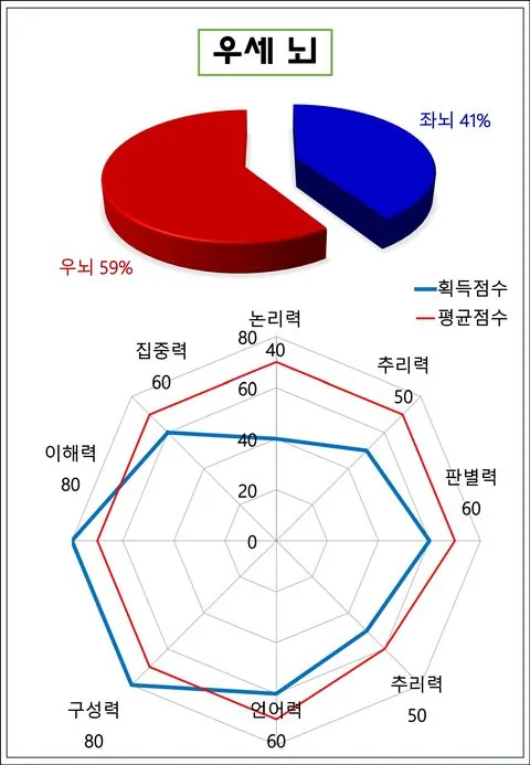 좌·우뇌 우세도 예시 화면